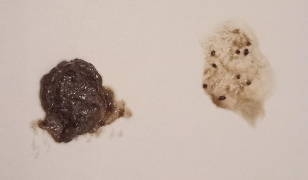 イルコルポ ミネラルレッグスムーザーの使用感写真。左がチューブから出した状態、右が肌に伸ばしてなじませた状態